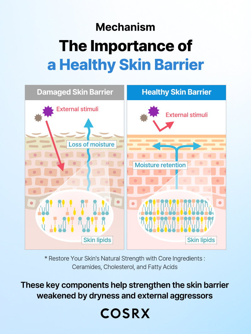 The Ceramide Skin Barrier Moisturizer - Image 14